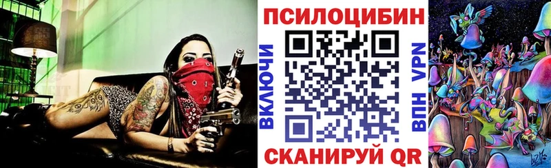 продажа наркотиков  Анжеро-Судженск  hydra   Псилоцибиновые грибы GOLDEN TEACHER 